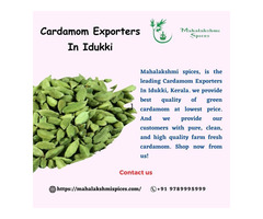 Buy Spices And Cardamom Online | Cardamom Exporters In Idukki
