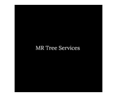 Mr. Tree: Your Residential Tree Service Experts