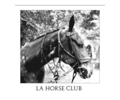 Discover Horseback Rides in Paris: Balade Cheval Chantilly