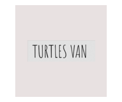 Turtles Van: Nostalgic Lanzarote Adventure in Retro Campervans