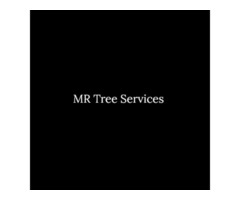 Trust Mr. Tree Services for Safe Commercial Tree Removal