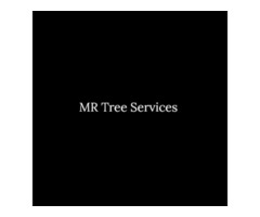 Tree Pruning and Affordable Tree Removal in Mundelein