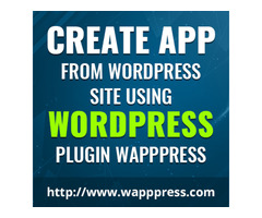 Convert WordPress website to android app