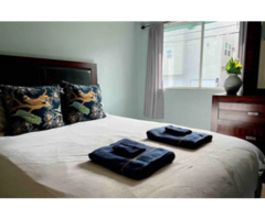 Idyllic 1BR APT in Ocean Beach | Entire Rental unit in San Diego, California, United States