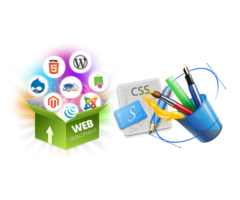 Website solutions Delhi